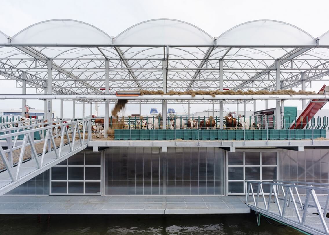 Ruben Dario Kleimeer