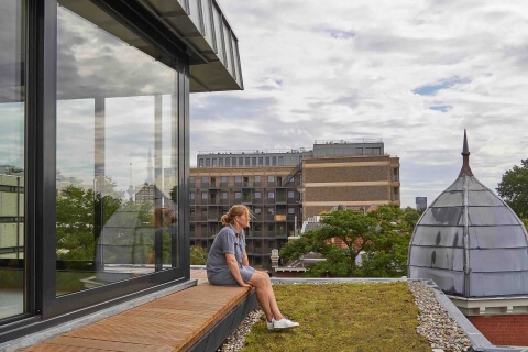 Daklantaarn Bella Vista